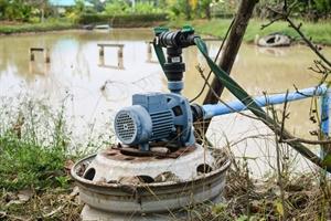 visvijver leegpompen visvijver leegpompen